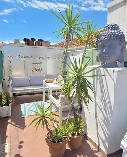 Chambre + Terrasse Privative
