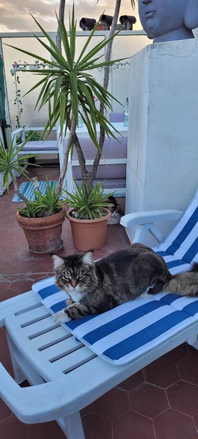+ Terrasse Privative Homestay